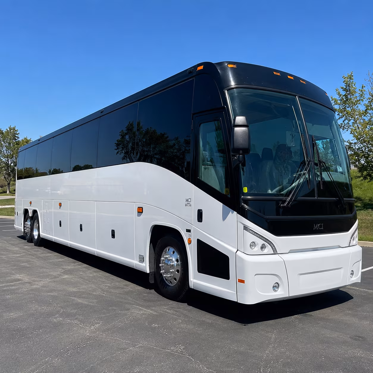 one search for your lake forest group trip